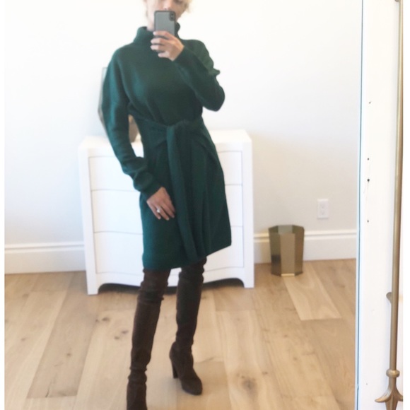 TORREY PINES Green Tie Turtleneck Sweater Dress - Picture 6 of 11
